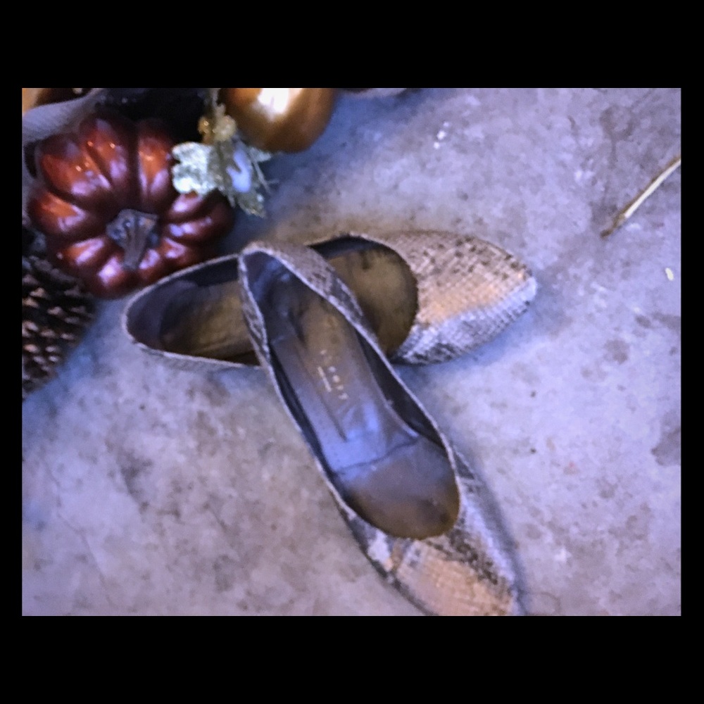 Anthropology flats